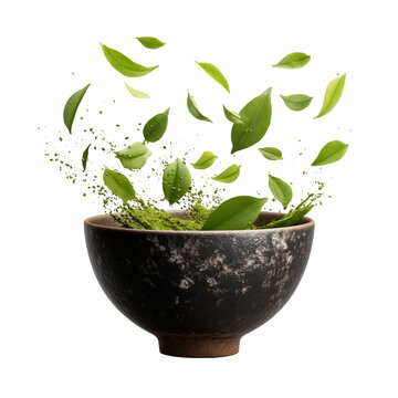 Fresh green tea leaves gracefully float and settle into a traditional ceramic bowl. isolated on transparent background
