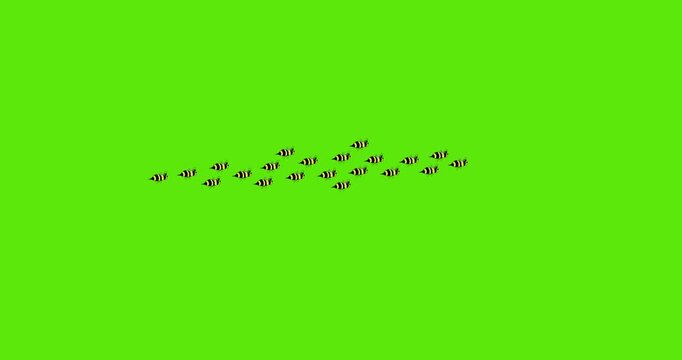 a bunch of bee flying in a line, green background