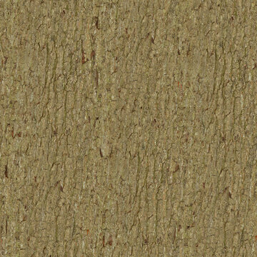Bark 4k PBR, wallpaper,  background, backdrop,  Texture for Architectural 3D rendering