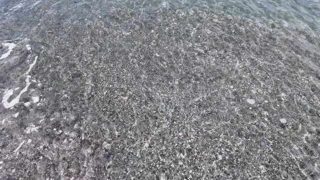 清水港