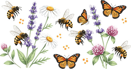 Hand drawn bees butterflies wildflowers botanical illustration set pollination nature garden elements lavender daisy clover realistic vector design collection © Mokarrom