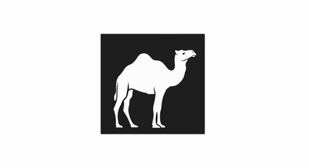 Fototapeta premium A simple white silhouette of a camel on a black square background