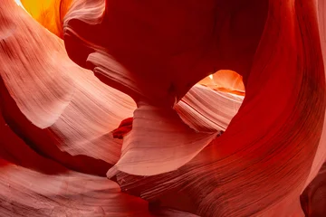 Fototapeten Antilope Swirling natural patterns formed by erosion over millennia in Navajo Sandstone of Lower Antelope slot canyons near Page  © Brian Scantlebury