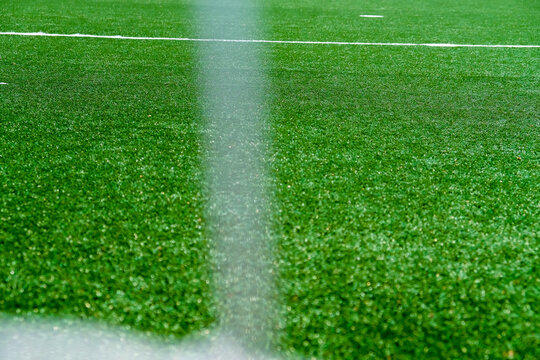 Soccer field green grass and net background. Football or soccer field