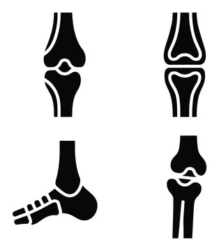 Stylized of Human Knee and Foot Joints