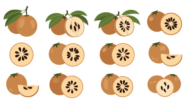 Assortment of twelve whole and sliced sapodilla fruits with green leaves in a flat design style for organic food labels and marketing.
