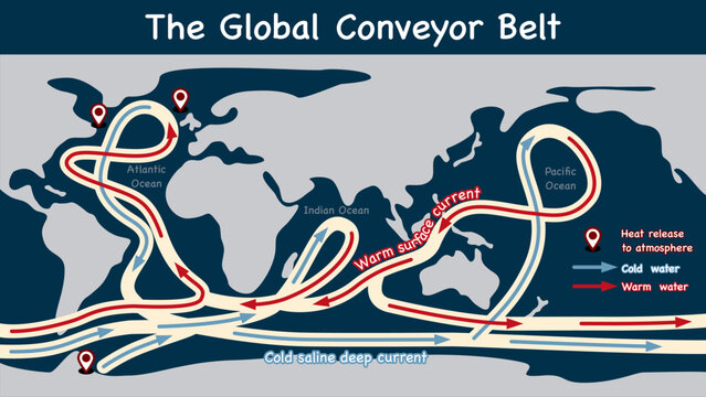 The Global Conveyor Belt vector illustration, Ocean currents infographic.