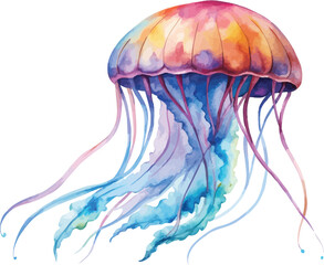 Fototapeta premium Watercolor Jellyfish Illustration, Ocean Wildlife Clipart, isolated on white background