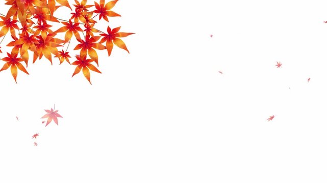 水彩で描いた紅葉の葉が舞うループアニメーション素材。