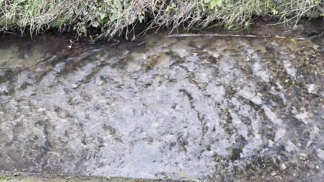 Flowing Stony Stream