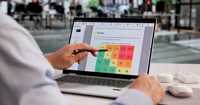 Business Risk Analyst Reviews Enterprise Data