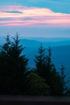 silhouette of spruce pine evergreen conifer trees in the foreground with a sunset of rolling blue mountain ridges and hills on the horizon