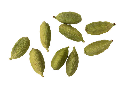 Close-up of fresh green cardamom pods isolated on transparent background
