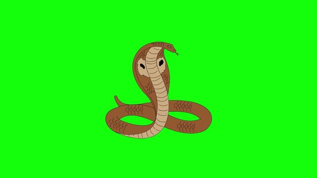 Animated 2D cartoon cobra snake swaying side to side, hood expanded, tongue flicking in and out, isolated on green screen background.