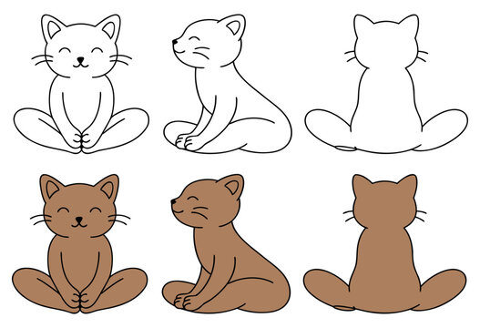 Cat in Baddha Konasana Butterfly yoga pose, front, back and overhead views,  colorful and transparent design, vector set