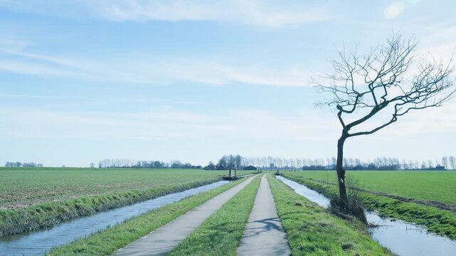 Scenic countryside bike path in the netherlands polder landscape