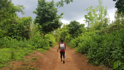 Fototapeta premium A lone person walks down a dirt path surrounded by lush green vegetation under a cloudy sky, suggesting an outdoor adventure or journey through nature