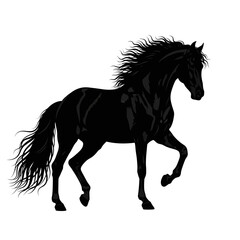 Fototapeta premium Running Horse Silhouette Dynamic Motion Black Vector Design