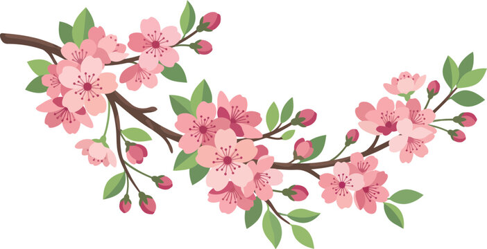 Cherry Blossom Branch Sakura Flower Spring Floral Vector Illustration