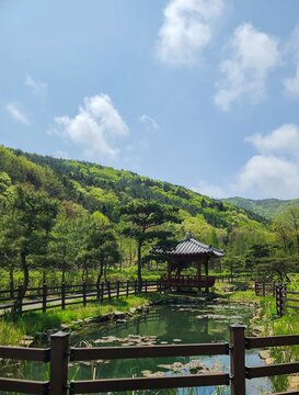 Traditional Korean Pavilion and Lily Pond at Mugunghwa Arboretum, Boryeong, South Korea in Spring