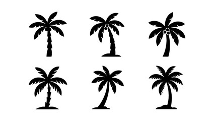 Fototapeta premium Black palm tree silhouettes set, tropical coconut tree vector icons, 6 minimalist summer beach plant elements for travel branding and vacation design