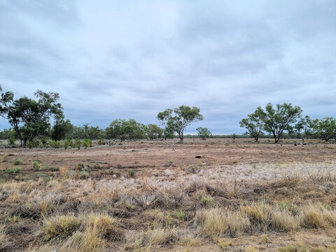 Australian Outback with trees under a grey cloudy sky near Lightning Ridge New South Wales