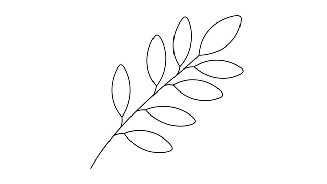 Minimalist line art illustration of a botanical branch with multiple small leaves in a clean and modern black ink style.