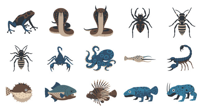 Collection of various sea creatures illustrations.