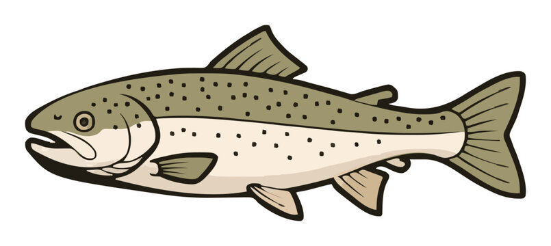 Freshwater trout vector illustration side view isola.... Generative AI