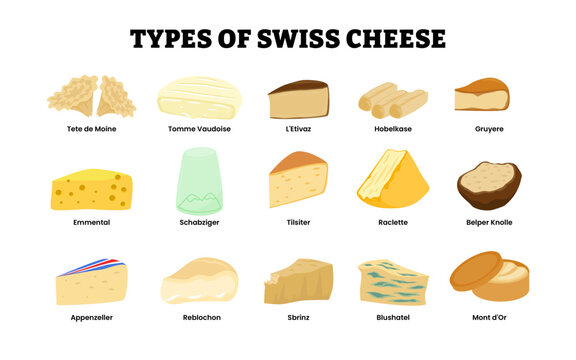 Different types of swiss cheese types. Labeled tete de moine, tomme vaudoise l etivaz hobelkase, gruyere, emmental schabziger tilsiter raclette belper knolle appenzeller reblochon sbrinz, blushatel