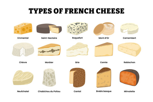 Different types of french cheese types set collection. Emmental saint nectarine roquefort, mont d or, camembert chevre morbier, brie, comte reblochon neufchatel, chabichou cantal brebis mimolette.