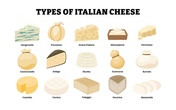 Different types of italian cheese types. Labeled gorgonzola, provolone, grana padano mascarpone parmesan, caciocavallo asiago ricotta, scamorza burrata, caciotta tomino taleggio pecorino, mozarella.