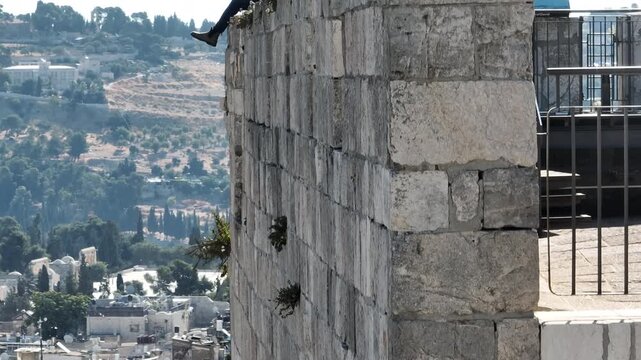 Aerial view Jewish man overlooking Dome of the Rock Jerusalem Israel

Drone footage showing unidentified Jewish man with prayer shawl overlooking Dome of the Rock Jerusalem Israel March 24 2026
