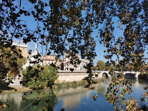 Rome, Tiber river bridge with trees