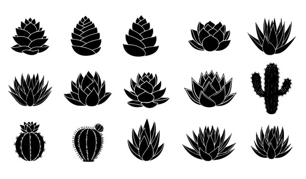  Succulent and Cactus Silhouette Icon Set Featuring Aloe, Agave, Desert Plants, and Various Succulent Shapes for Botanical, Garden, and Nature Design