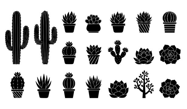  Cactus and Succulent Icon Set Featuring Desert Plants, Potted Cacti, Aloe, Agave, and Succulent Varieties for Botanical, Garden, and Nature Design
