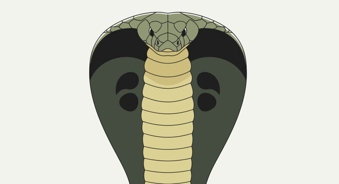 Cobra snake head close up view.