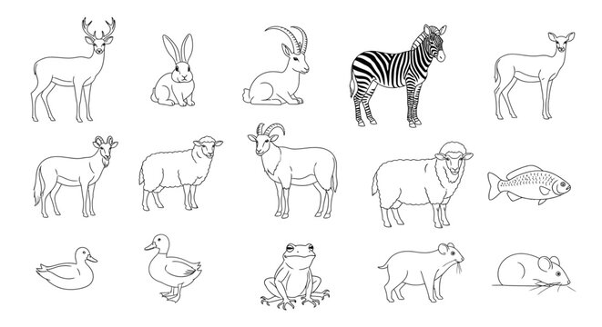 Collection of various wild and domestic animals 1.