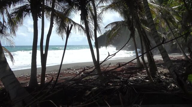 Tropischer schwarzer vulkanischer Sandstrand mit Palmen und Brandung