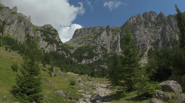 Majestic ascending drone view through pine trees into the dramatic glacial Valea Gaura in the Bucegi Mountains, flying forward towards a rugged limestone threshold on a bright sunny day
