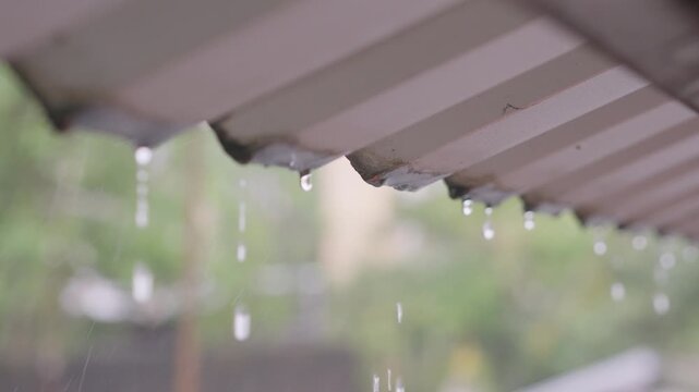 Cinematic Rain Water Dripping from Zinc Roof Eaves in Slow Motion