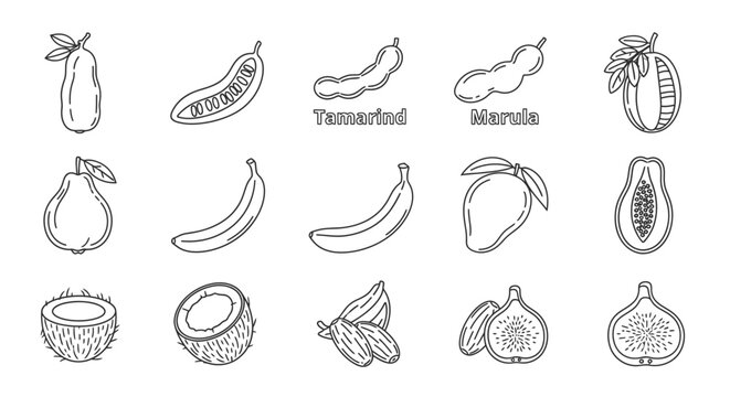 Variety of fruit and vegetables icons.