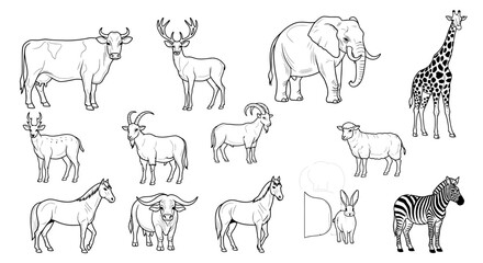 Naklejka premium Various animals in a line drawing.