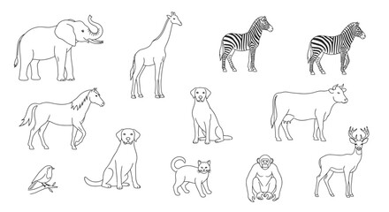 Naklejka premium Various animals in a single frame 1.