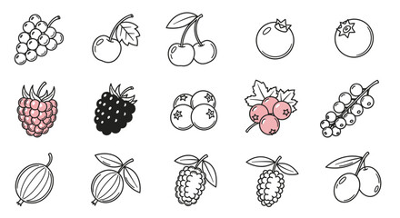 Fototapeta premium Various types of fruit illustrations.