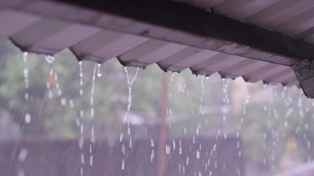 Cinematic Rain Water Dripping from Zinc Roof Eaves in Slow Motion