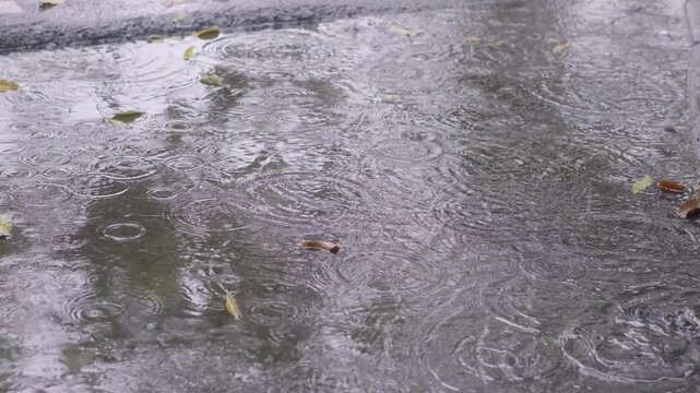 Cinematic Rain Water Dripping to puddle in Slow Motion