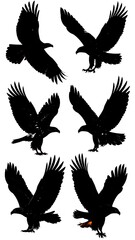 Obraz premium A group of flying and landing bird silhouettes in various poses