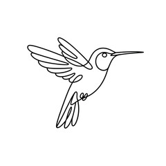 Obraz premium A simple line drawing of a hummingbird in flight.