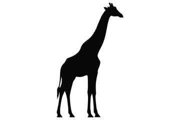 Fototapeta premium Giraffe Silhouette Vector – Minimalist African Wildlife Illustration Design